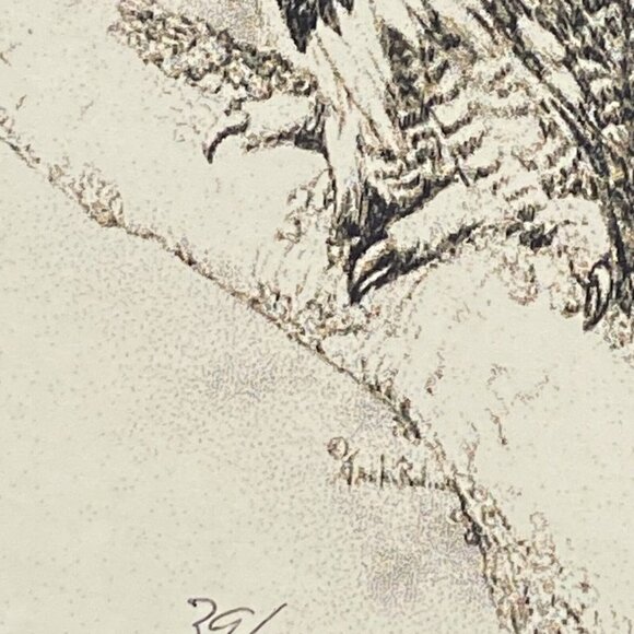 Jack Bolin Great Horned Owl Print Framed Wall Art Limited Edition numbered 39/50 - Picture 6 of 15